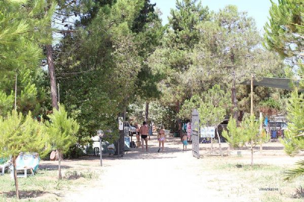 Camping Cigno Bianco